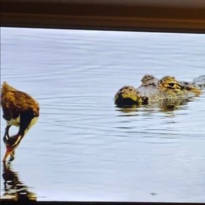 Meet your Posher, Marilyn